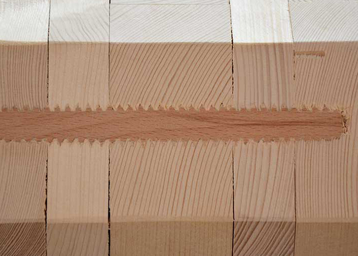 Stricker hausbau Leistung - Holzbauweisen